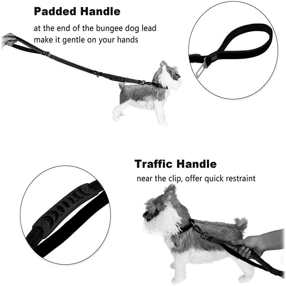 Laisse Multifonction pour Chien – Réglable, Anti-Traction & Compatible Ceinture de Voiture