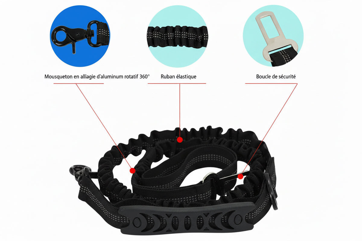 Laisse Multifonction pour Chien – Réglable, Anti-Traction & Compatible Ceinture de Voiture